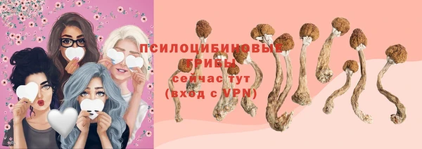 ГАЛЛЮЦИНОГЕННЫЕ ГРИБЫ Алексин