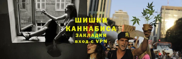 ГАЛЛЮЦИНОГЕННЫЕ ГРИБЫ Алексин
