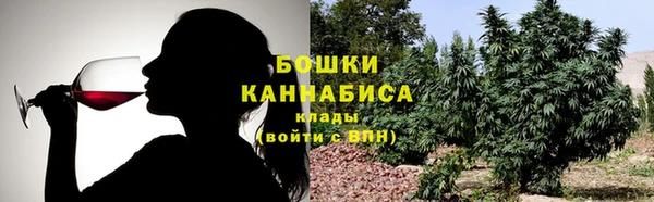 ГАЛЛЮЦИНОГЕННЫЕ ГРИБЫ Алексин
