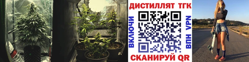 ТГК THC oil  купить наркотик  Ардон 