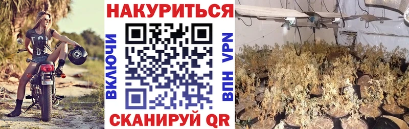 mega маркетплейс  Ардон  Канабис индика 
